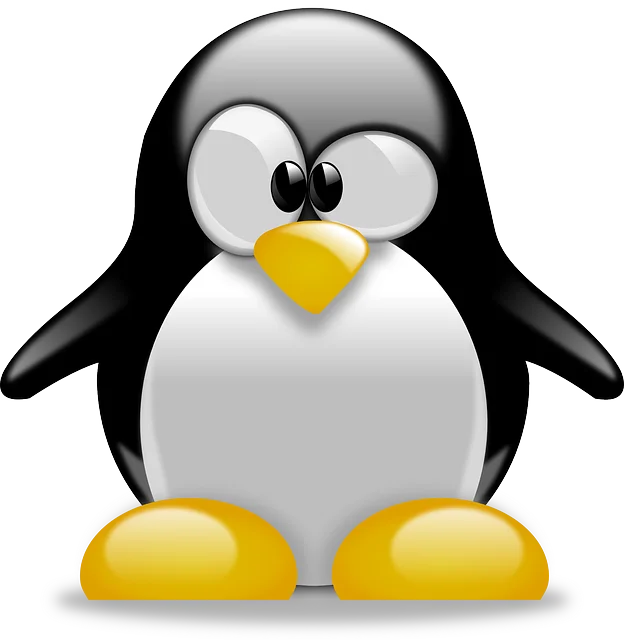 Linux: ¿Qué es y para que sirve?